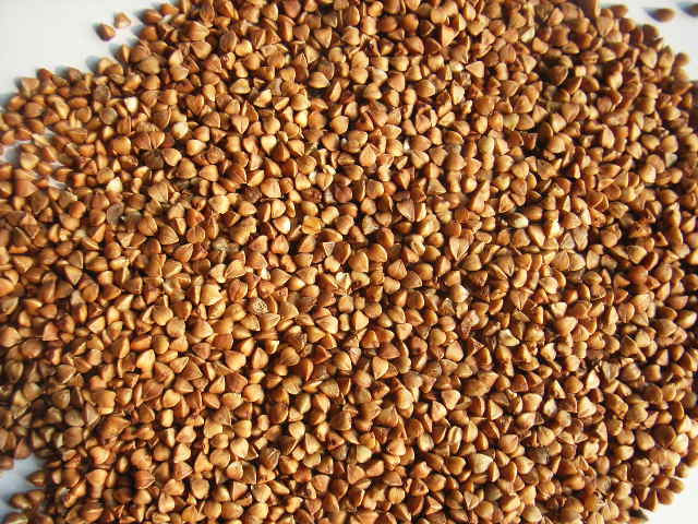 roasted buckwheat kernels