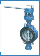 Butterfly Valves