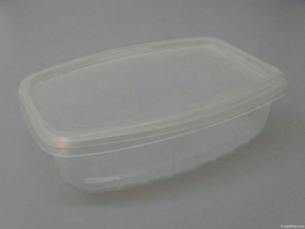 Plastic Food Container