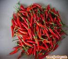 Capsaicin (sales25 at lgberry dot com dot cn)