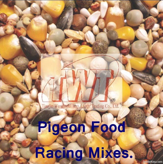 TWT Pigeon Food / Dove Food / Pigeon Feed