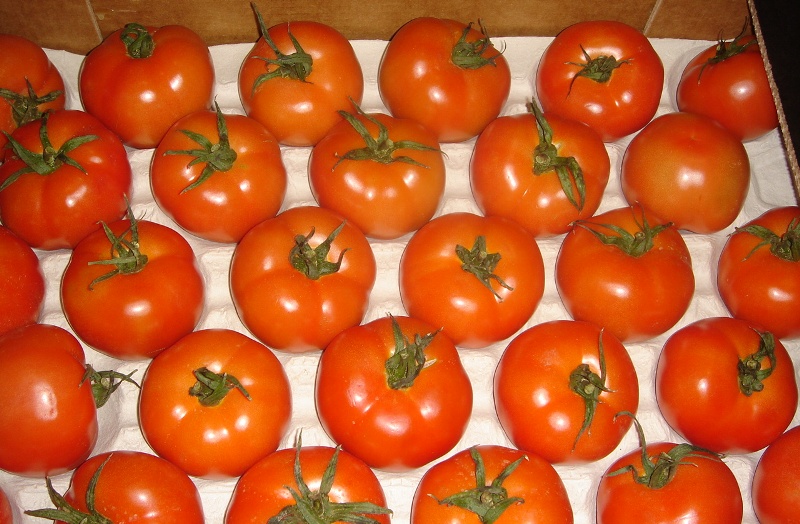 Tomatoes