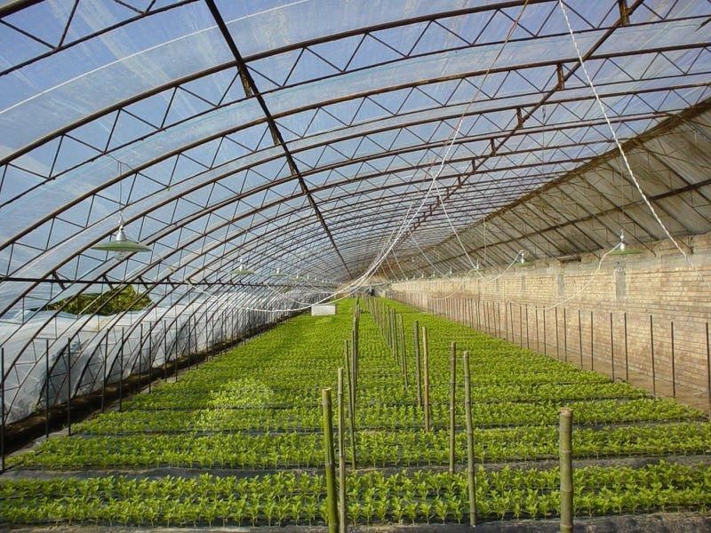  the Cheapest Agricultural Plastic Greenhouse Film