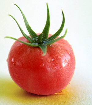 Lycopene