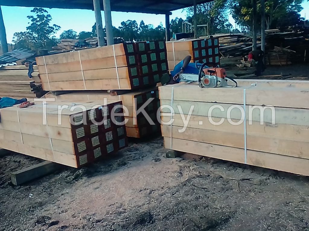 Eucalyptus Sawn Timber