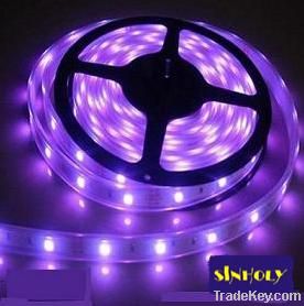 LED strip 60EA/m 3528