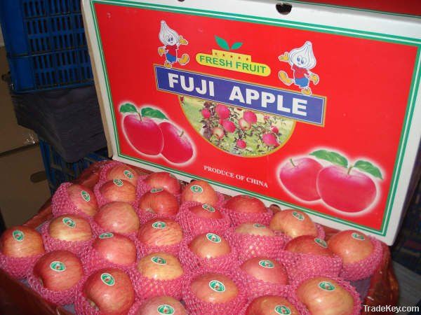 RED FU JI APPLE