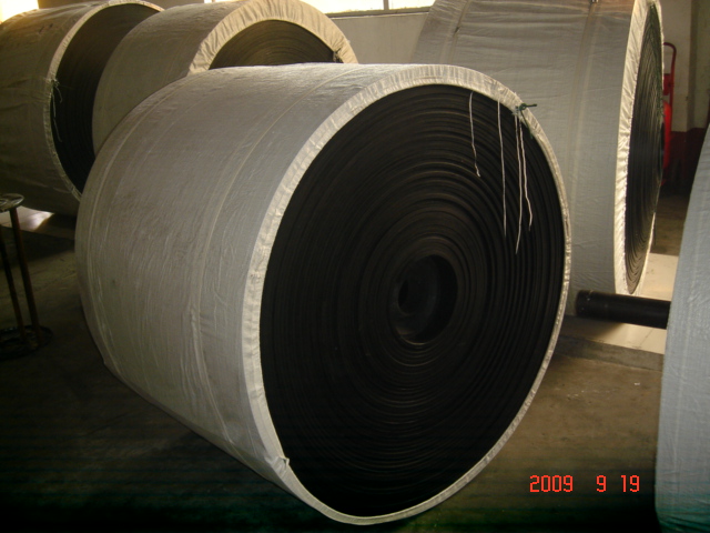 Nylon Conveyor Belt