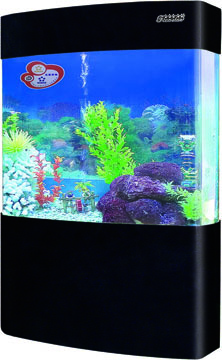 acrylic fish tank aquarium