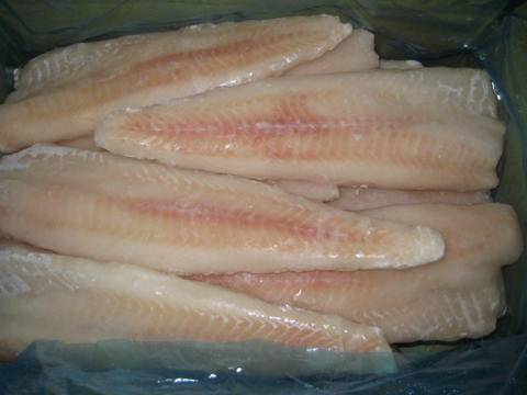 Frozen Alaska Pollock Fillet