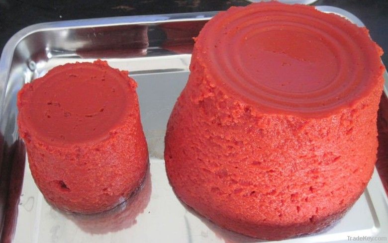 tomato paste