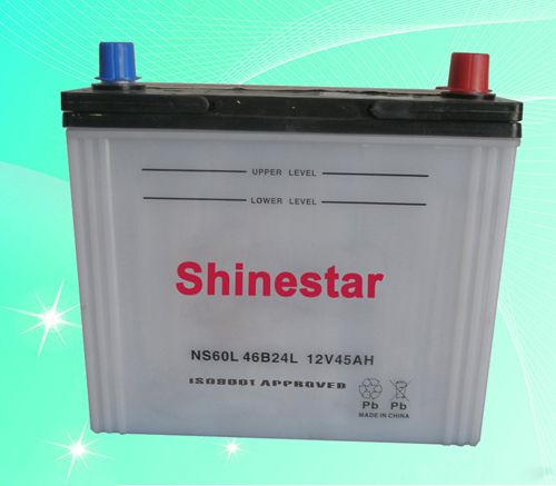 Sell high quanlity NS6012V45AH Dry Car Battery