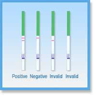 One Step Ovulation Test