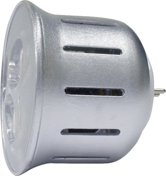 LED PAR30 Bulb