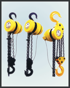 DHP Chain Electric Hoist