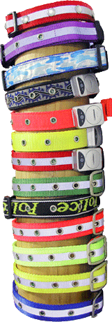 sell pet product,pet collar,pet leash,flashing collar &  leash