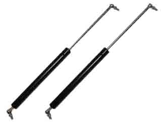 Gas strut / gas spring