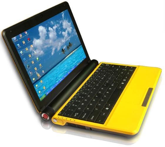 10.2 inch laptop Intel Atom D2500 dual core 1.8GHz RAM 1G /2GB/4GB HDD 160GB/250GB/320GB/500GB Mini Laptop