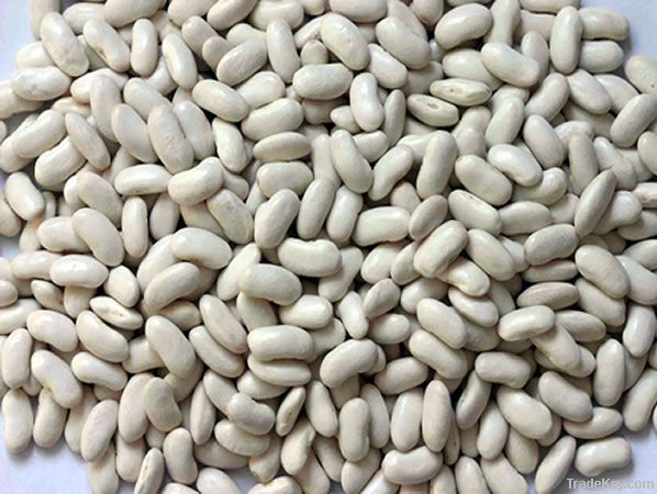 white kidney beans