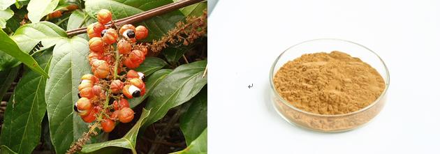 Guarana Extract