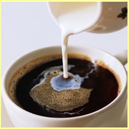 Non-Dairy Creamer for Coffee