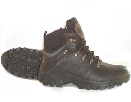 Safety Shoe D0-0034