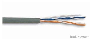 2Pairs UTP CAT5e Network Cable