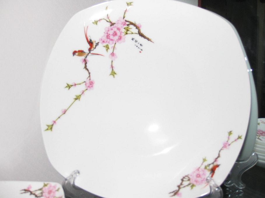 Bone China Dinnerware 40 piece sets