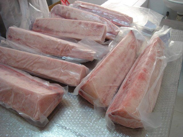 Frozen Swordfish (XIPHIAS GLADIUS)