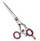 Barber Scissors