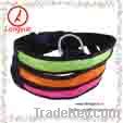 Pet reflect flash collar