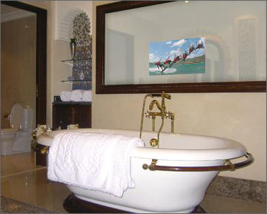 Bathroom LCD TV