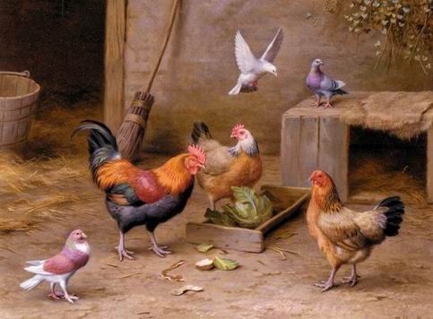 chicken oil painting