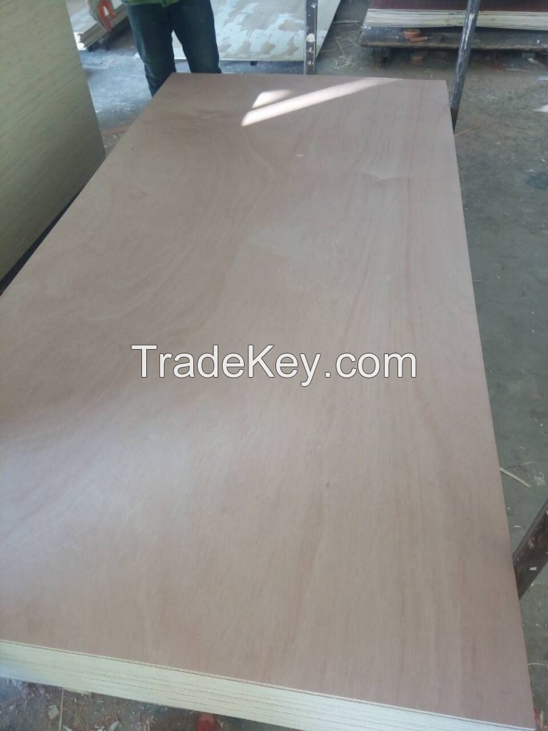 Okoume Plywood 