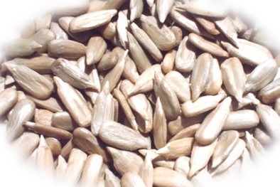 Sunflower Seeds Kernel