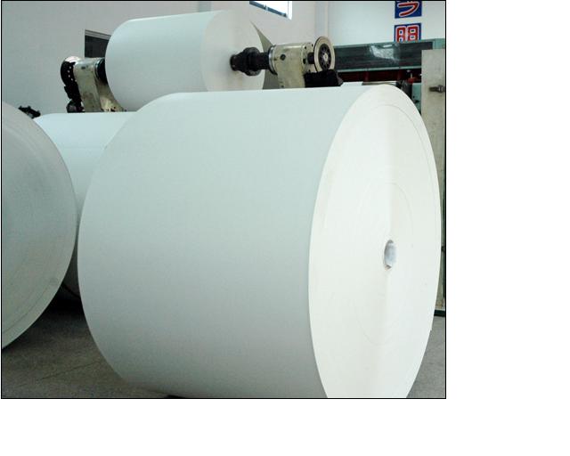 pe coated paper