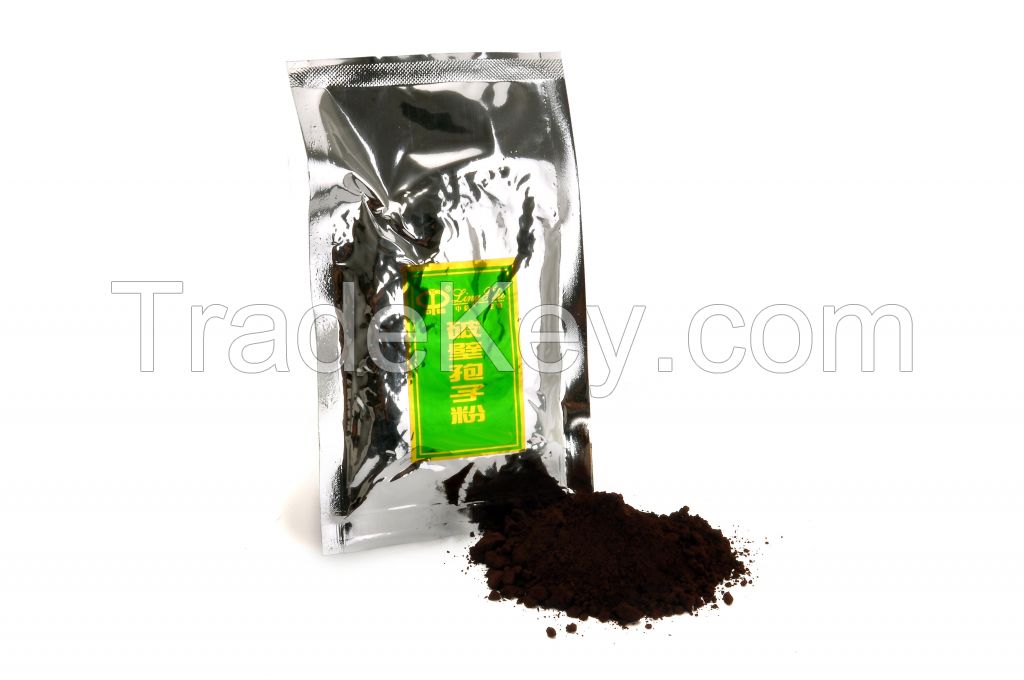 Ganoderma lucidum cracked spore powder