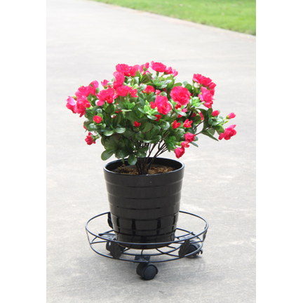 Caddie Planter