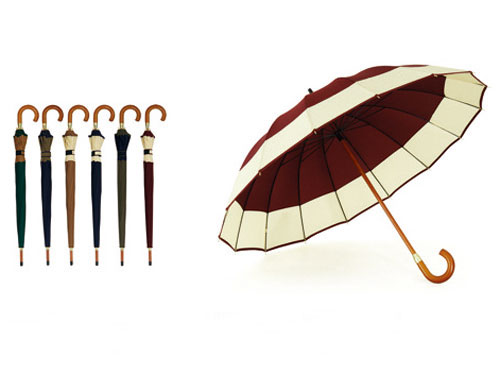 Stick Umbrella