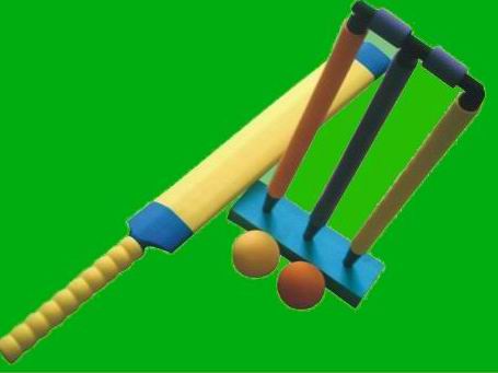 Cricket bat