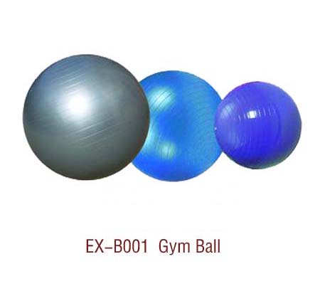 Gym Ball