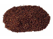 grape seed extract