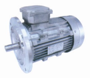 Y/Y2 Series motor