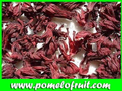 Dried Hibiscus Flower