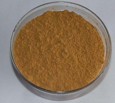 Guarana seed extract powder