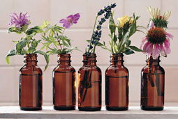 Herbal Extract Tinctures