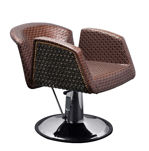 Hair Beauty Chair