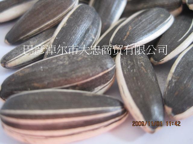 Sunflower Seeds (In Shell)