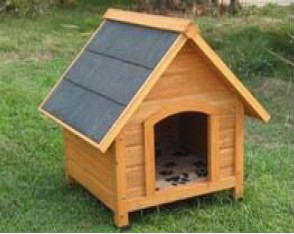 dog kennel