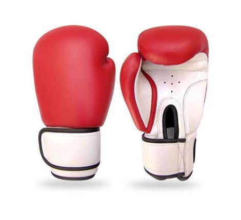 Boxing Gloves # 00-307